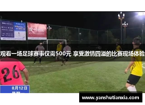 观看一场足球赛事仅需500元 享受激情四溢的比赛现场体验